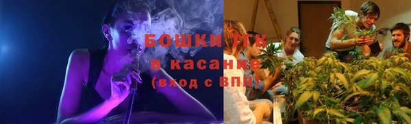 apvp Богородск