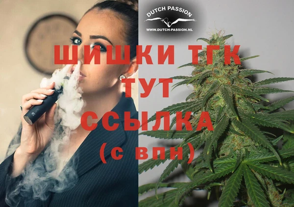 твердый Бородино