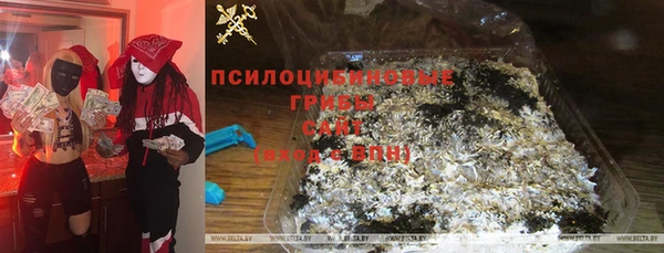 эйфоретик Богородицк