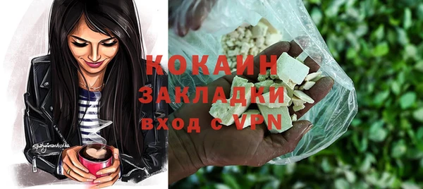 твердый Бородино
