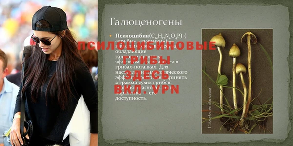 мет Богданович