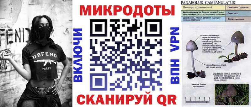 Галлюциногенные грибы Cubensis Верхний Тагил
