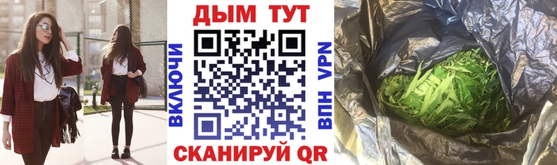 Бошки марихуана сатива  Верхний Тагил 